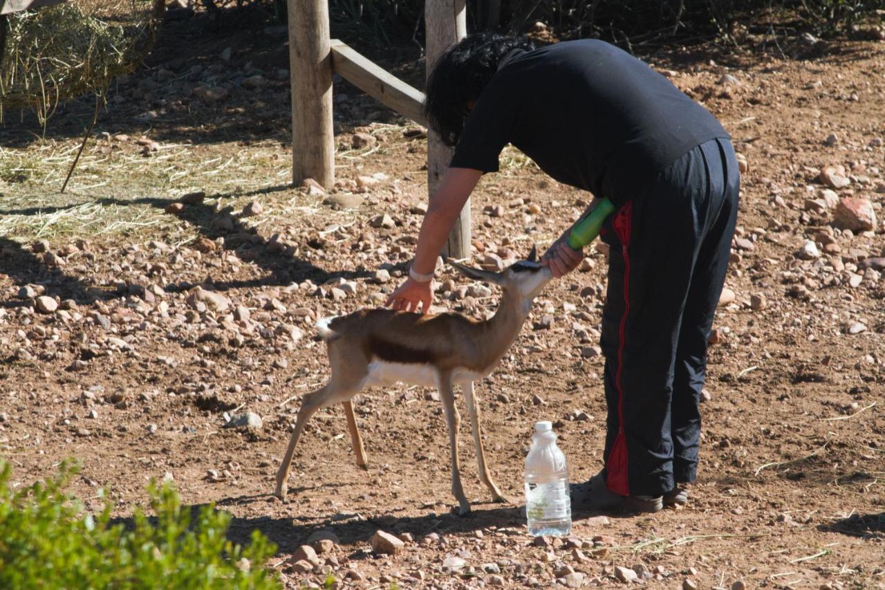 Zwartberg View Mountain Lodge Oudtshoorn Bagian luar foto