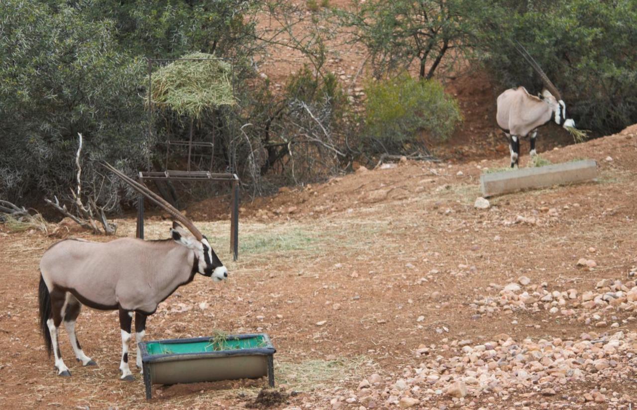 Zwartberg View Mountain Lodge Oudtshoorn Bagian luar foto