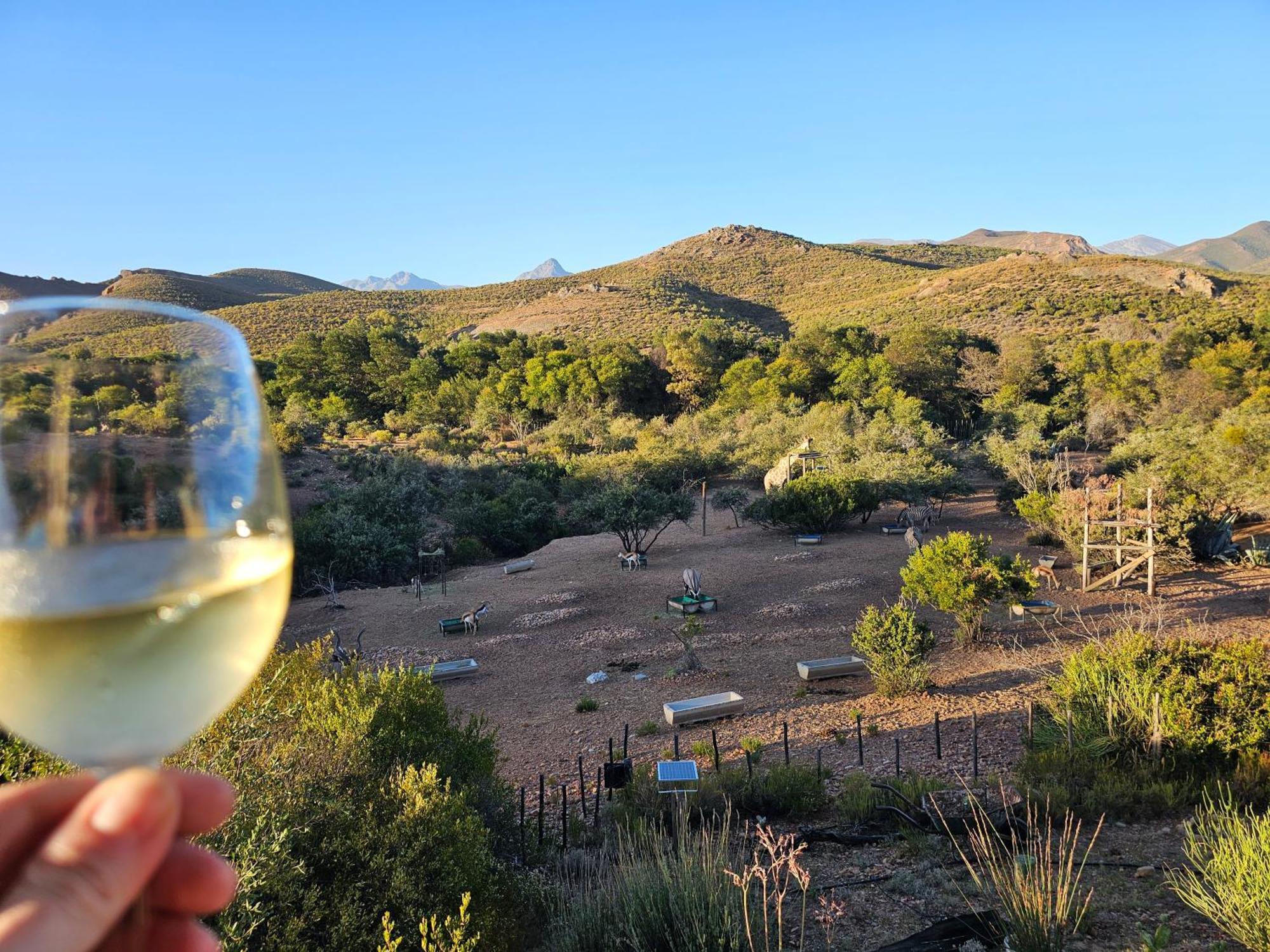 Zwartberg View Mountain Lodge Oudtshoorn Bagian luar foto